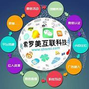 武汉网络营销,武汉网站优化:服务器、虚拟主机概念