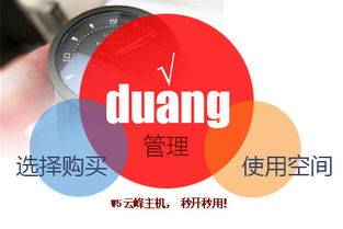 duang 最好用的1g云虚拟主机