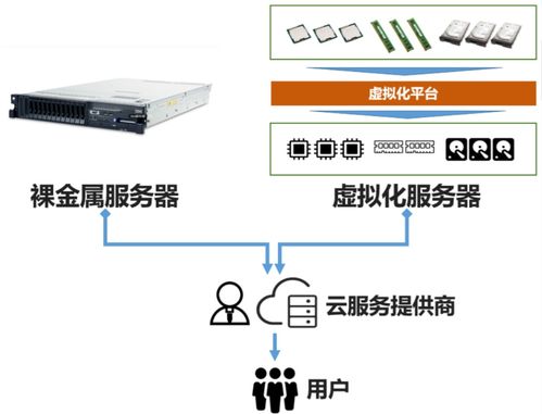 裸金属 是什么
